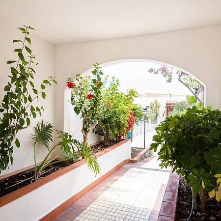 1 Bedroom Apartment For 4 People In Tenerife Costa Adeje  Exteriér fotografie